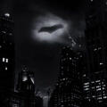 Bat Signal